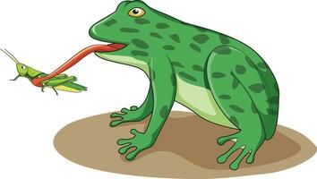 A frog trying to catch a grasshopper with its tongue vector