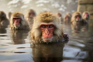 AI generated Japanese monkeys, snow monkeys, warm themselves in a hot spring in winter. Generative AI. photo