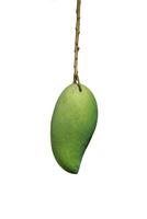 Green mango isolate on white background with clipping path. photo