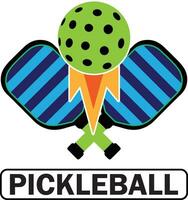 Colorful pickleball bat and ball vector. You can change its color and text. vector