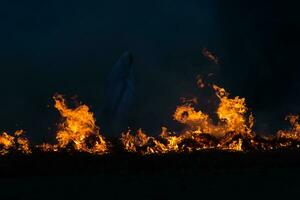 The movement of the flames in the dark photo