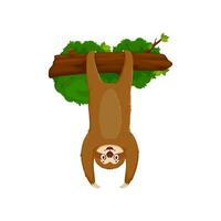 Cartoon funny sloth hang upside down from tree vector