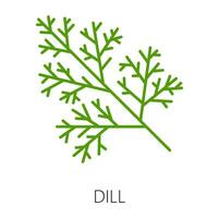 Green dill spicy food herb outline icon vector