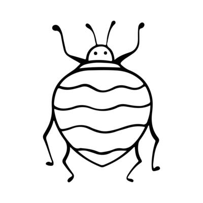 Hand-Drawn Insect Doodle Illustration. Insect or Bug Cartoon In Line Style Isolated In White Background. Insect Cartoon for Coloring Book