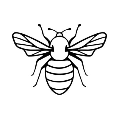 Hand-Drawn Insect Doodle Illustration. Insect or Bug Cartoon In Line Style Isolated In White Background. Insect Cartoon for Coloring Book