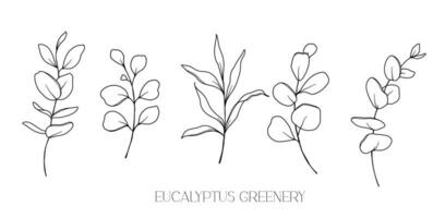 Eucalyptus Line Drawing. Black and white Floral Bouquets. Flower Coloring Page. Floral Line Art. Fine Line Eucalyptus illustration. Hand Drawn greenery. Botanical Coloring. Wedding invitation greenery vector