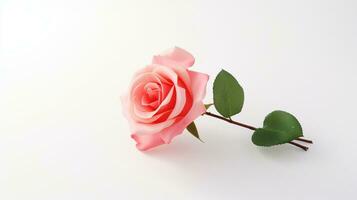 AI generated Rose on White Background with Copy Space. Presentation, Wallpaper, Love, Valentine, Flower photo