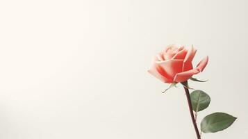 AI generated Rose on White Background with Copy Space. Presentation, Wallpaper, Love, Valentine, Flower photo