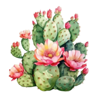 ai generado cactus flores y cactus plantas con flores en transparente antecedentes png