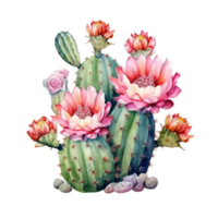 AI generated cactus flowers and cactus plants with flowers on transparent background png