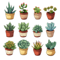 ai généré ensemble de plantes succulentes dans divers des pots sur une transparent Contexte png