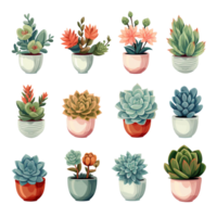 ai généré ensemble de plantes succulentes dans divers des pots sur une transparent Contexte png