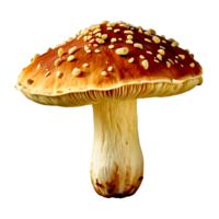 AI generated Mushroom isolated on a white or transparent background png