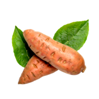 ai gegenereerd zoet aardappelen geïsoleerd Aan een wit of transparant achtergrond png