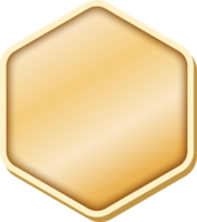 luxe gouden frame png