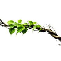 AI generated Jungle Branch with Thriving Plant Isolated on Transparent Background png