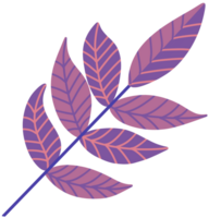 Japan autumn purple leaves illustration png