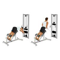 Man doing crossover machine cable row and back extension exercise. vector