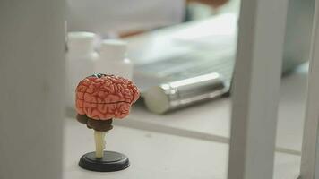 Human head anatomical model on doctor's table over background neurologist analyzing results of MRI scan of patient brain at medical clinic. Diseases of brain, nerves and nervous system video