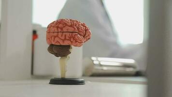 Human head anatomical model on doctor's table over background neurologist analyzing results of MRI scan of patient brain at medical clinic. Diseases of brain, nerves and nervous system video