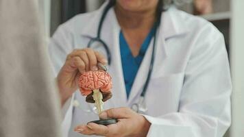 Human head anatomical model on doctor's table over background neurologist analyzing results of MRI scan of patient brain at medical clinic. Diseases of brain, nerves and nervous system video