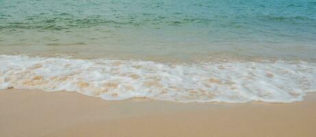 Landscape summer panorama front view tropical palm and coconut trees sea beach blue white sand sky background calm Nature ocean Beautiful  wave water travel Bangsaen Beach East thailand Chonburi photo