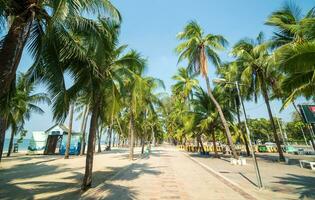 Chonburi Thaialnd,17Jan2023,Front view of the view Bangsaen Beach Road Coconut tree Souvenir shop for tourists At the same time, tourists are cycling along the way for vacation. In the hot summer sky photo