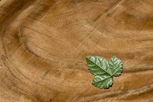Green leaf on wood background. photo