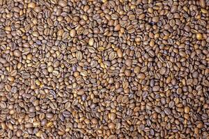 Roasted coffee beans background. Whole coffee beans macro. photo