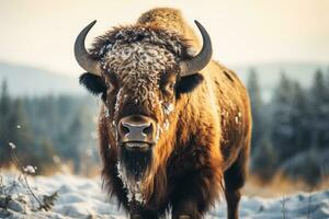 AI generated bull standing in the snow weather bokeh style background with Generative AI photo