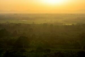 sunset at the forest in golden hour of the day. photo