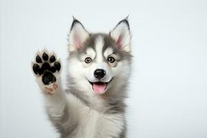 AI generated Adorable dog giving high five on white background with text space for creative placement photo