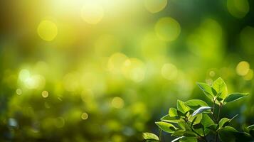 AI generated Green bio background with blurred foliage and summer sunlight   perfect for text or ads photo