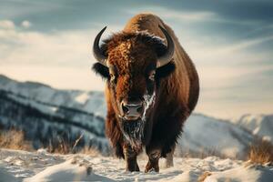 AI generated bull standing in the snow weather bokeh style background with Generative AI photo