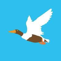 Vector ilustration graphic animals duck