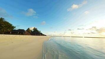 Fly a drone over a beach in the Maldives. Ocean and palm trees. video