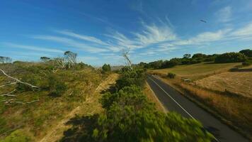 Road through the forest in Australia. Video from the FPV drone.