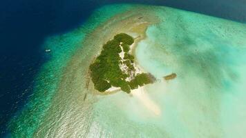 Uninhabited island in the ocean in the Maldives video