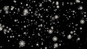 inverno neve flocos sobreposição fundo partículas animação. video