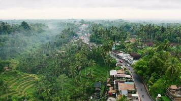 un' piccolo cittadina nel il tropici nel Bali, fuco video. video