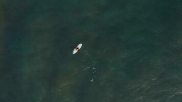 Mens Aan surfboard aan het wachten voor Golf in de zee video