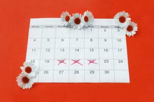 Chamomile on menstruation period calendar on red Background. photo