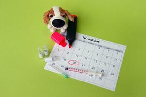 A syringe with ampoules, a soft toy a dog and a calendar with a marked date on light green background. photo