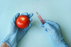 Tomato and syringe with GMO in hands on a blue background. photo