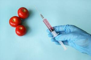 Tomato and syringe with GMO in hands on a blue background. photo