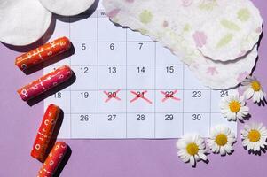 Menstrual pads and tampons on menstruation period calendar with chamomiles on pink background. photo