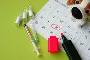 A syringe with ampoules, a soft toy a dog and a calendar with a marked date on light green background. photo