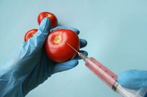Tomato and syringe with GMO in hands on a blue background. photo
