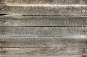 Wood background, old wooden wall, painted texture. photo