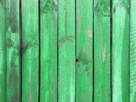 Green wood background, old wooden wall, painted texture. photo